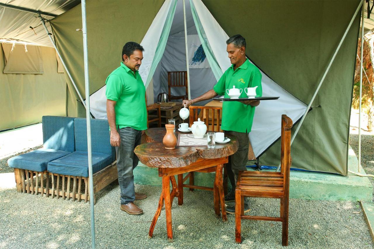 Ella Glamping Hotel Exterior photo